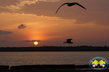 Este domingo, el sol cruza la línea ecuatorial