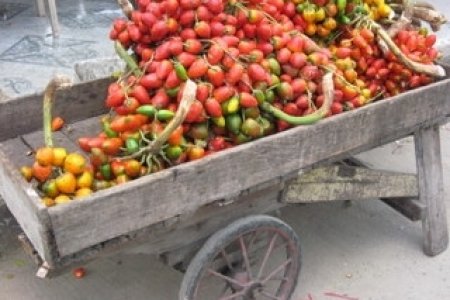 Chontaduro, nutre tanto como el huevo