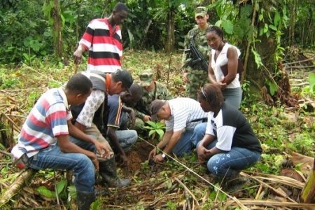 A través del Fondo Regional de Regalías, el Banco Agrario ha aprobado créditos para el fortalecimiento del cultivo de cacao