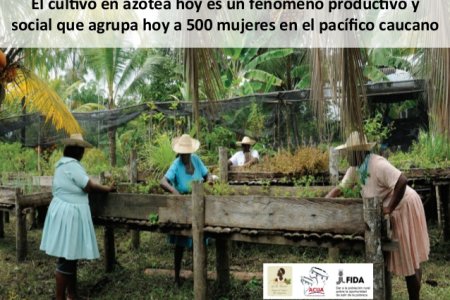 La recuperación del cultivo en azotea en el Pacífico Colombiano