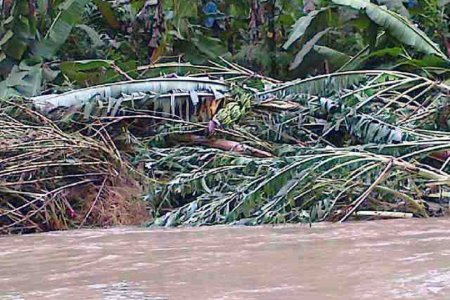 Lluvias en Buenaventura dejan más de 1400 damnificados en la zona rural
