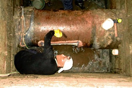 Daño en tubería de 24 pulgadas afecta servicio de agua en el sector insular de Buenaventura