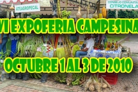 Se realizó con éxito la VIII Expoferia Campesina