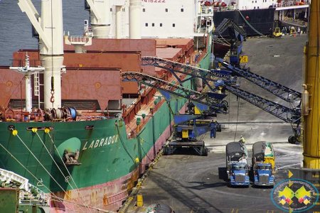 En noviembre la Sociedad Portuaria reporta aumento de las exportaciones
