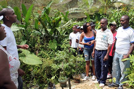 Alcaldía Distrital  de Buenaventura y Comfenalco Valle capacitan en guianza turística