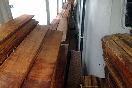 Armada Nacional incauta madera talada ilegalmente en el pacífico