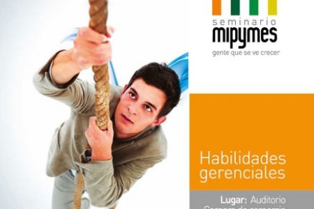 Seminario mipymes, Habilidades Gerenciales