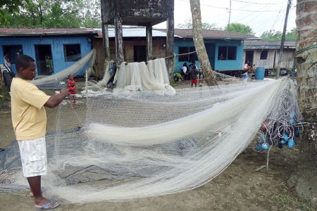 Aprovechando la formación del SENA, grupos de afrocolombianos generan conocimiento para afianzarse en sus territorios