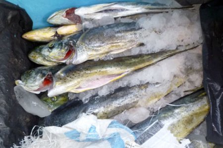 Retenida embarcación ecuatoriana con pesca ilegal