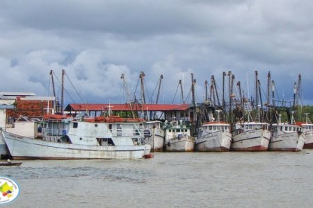 La pesca está ausente de las movidas del Gobierno