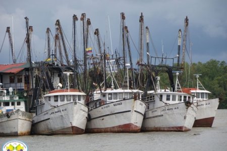 Sector pesquero y de cabotaje del Pacífico se quedará sin subsidio en combustibles para el 2011