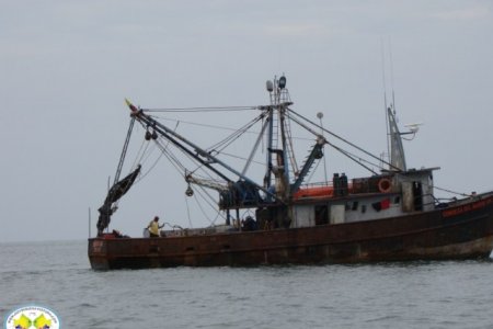 Pesca Ingreso Seguro