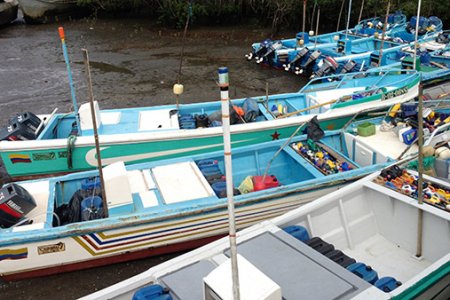 Armada Nacional ha inmovilizado siete pesqueros ecuatorianos con más de cinco toneladas de pesca ilegal en febrero
