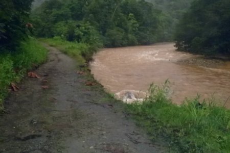Derrumbe pone en aprietos tubería de agua de 16”