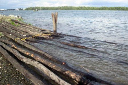 La Policía Nacional halla madera abandonada