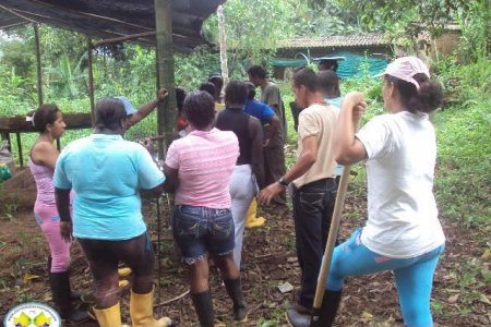 Programa de Agronomía de la Universidad del Pacífico capacita en el manejo de viveros a habitantes de la zona rural de Buenaventura