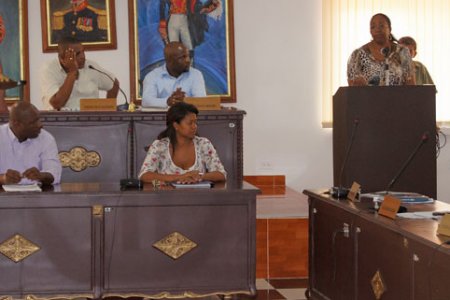 En sesión plenaria del Concejo, Secretaria de Gobierno explicó las responsabilidades directas de la dependencia