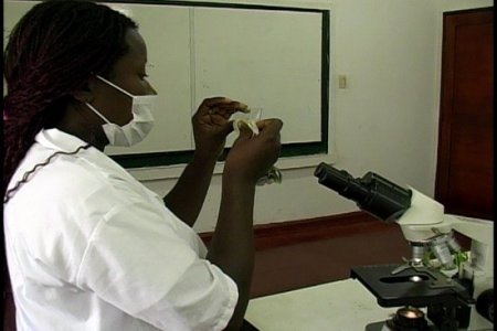 Los semilleros de investigación de la Unipacífico, en acción