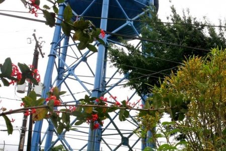 Hidropacífico garantiza 100% calidad del agua potable