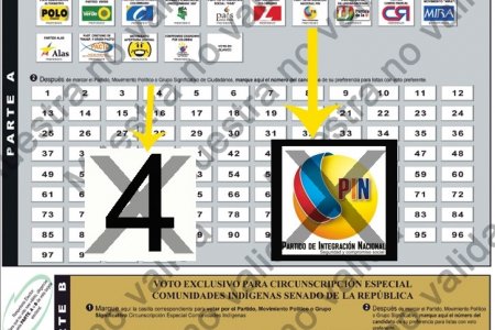 Los partidos políticos ya conocen su ubicación dentro de la tarjeta electoral, el PIN quedó satisfecho con la asignación