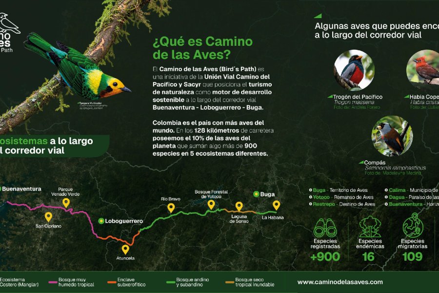 Unión Vial Camino del Pacífico anuncia el "Camino de las Aves" como apuesta estratégica en la doble calzada Buenaventura a Buga