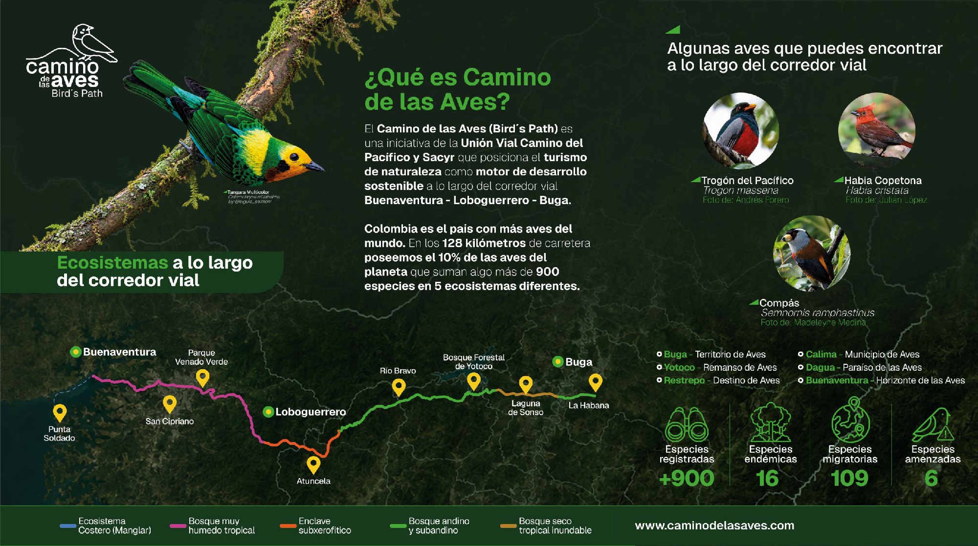 Unión Vial Camino del Pacífico 1
