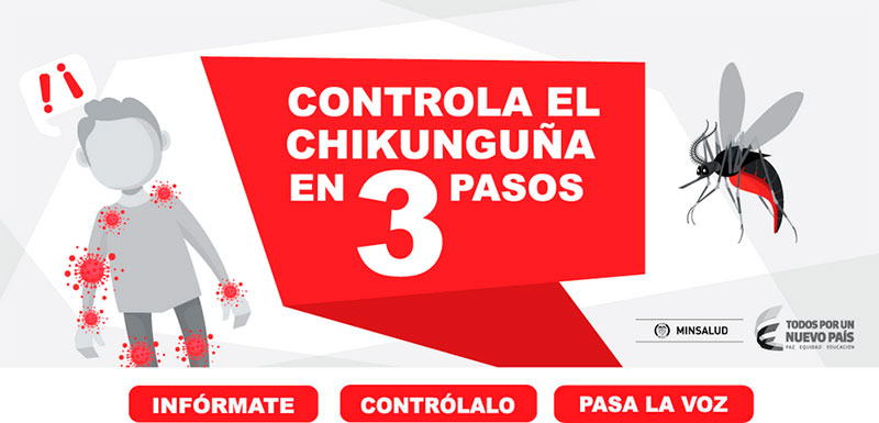 Información que usted debe saber sobre el virus Chikungu&ntilde;a