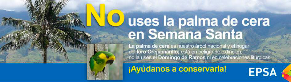 EPSA te invita a no usar la palma de cera en este Domingo de Ramos