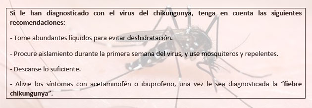 Chikungunya, un nombre exótico para un virus indescriptible
