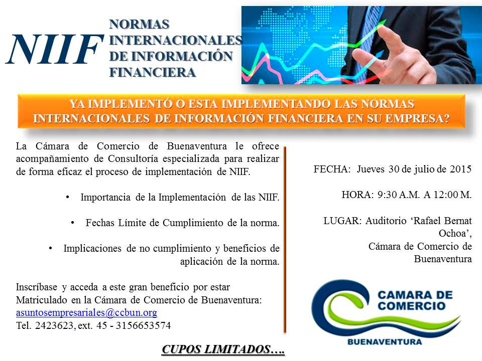 ¿Ya implementó o está implementando las Normas Internacionales de Información Financiera en su empresa?