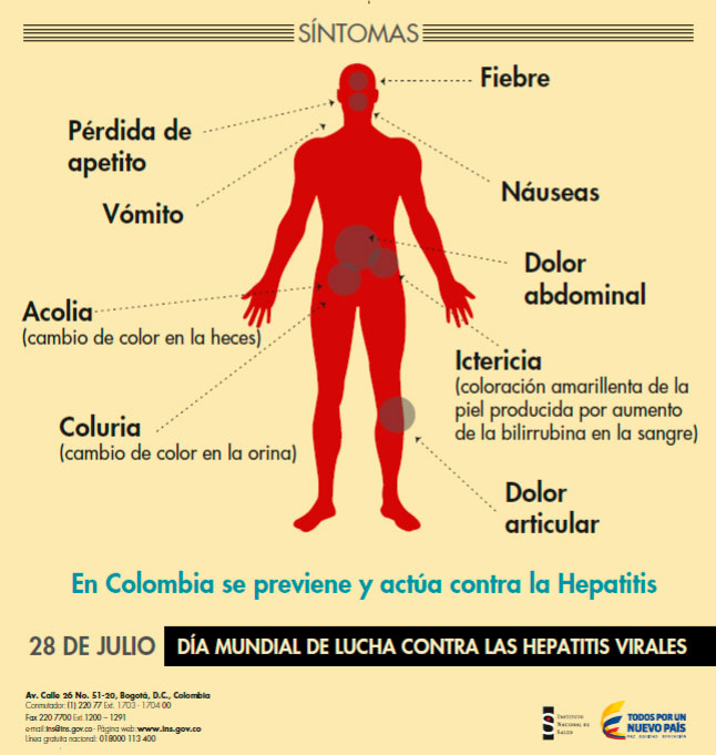 El 28 de julio es el Día Mundial de lucha contra las Hepatitis Virales