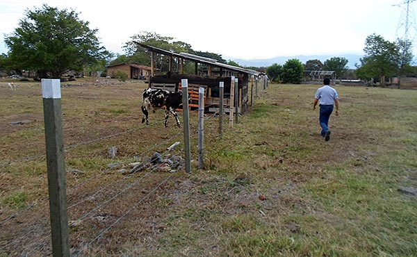 Tierras de extintos narcotraficantes pasan a manos de víctimas en Candelaria Valle