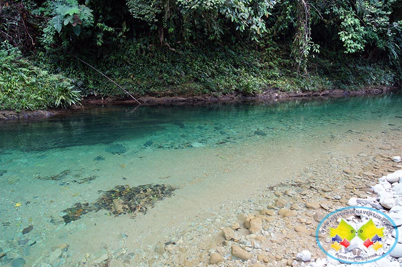 La minería ilegal ha estado afectando la cuenca del río Escalerete desde el año 2019