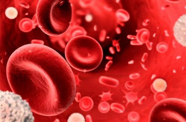 Ibrutinib y Daratumumab, dos moléculas que cambiarán la vida de los pacientes con cáncer en la sangre