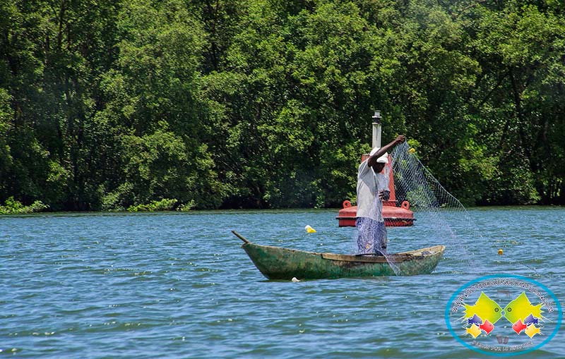 En Buenaventura un paso más cerca a la consolidación de la cadena productiva de pesca en el Pacífico