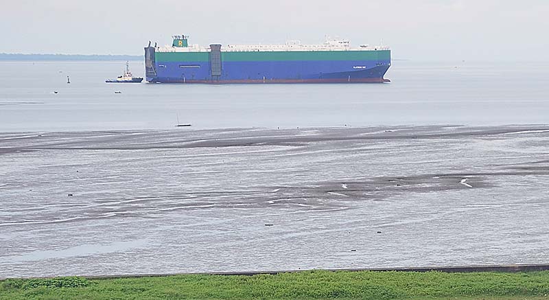La Motonave Platinum Ray, dedicada al transporte de vehículos encalló por unas horas en el canal de la bahía de Buenaventura