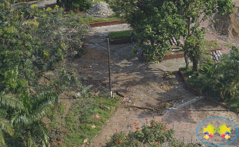 Concejales solicitan explicación sobre tala de árboles en obras del Malecón Bahía de la Cruz