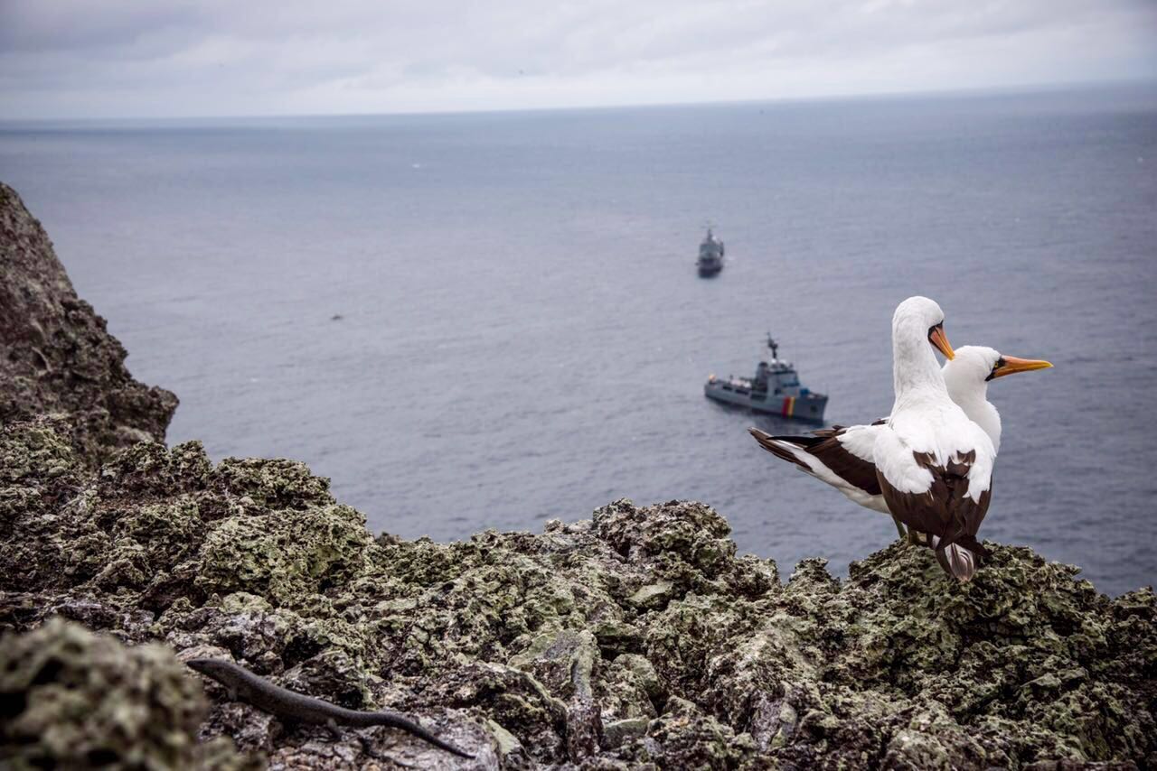Presidente anunció ampliación de área protegida del Santuario de Flora y Fauna de Malpelo