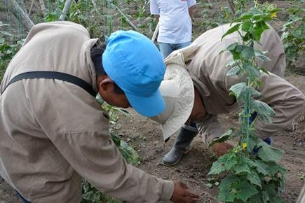 Modelo de reintegración temprana para excombatientes se implementa con éxito en el norte del Valle del Cauca