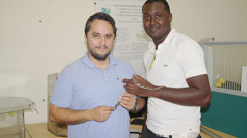 La serpiente 'equis, mapaná, pelo de gato o pudridora', captó la atención del INS para la producción de suero antiofídico