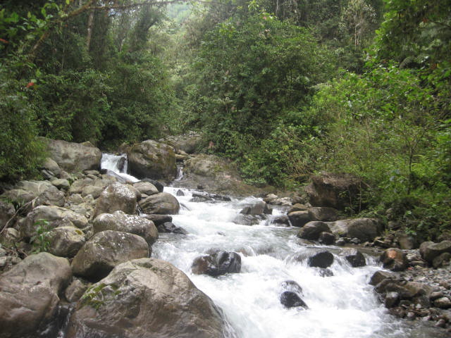 Gobernación, CVC y sector privado suscribirán compromiso para protección de cuencas y producción de agua