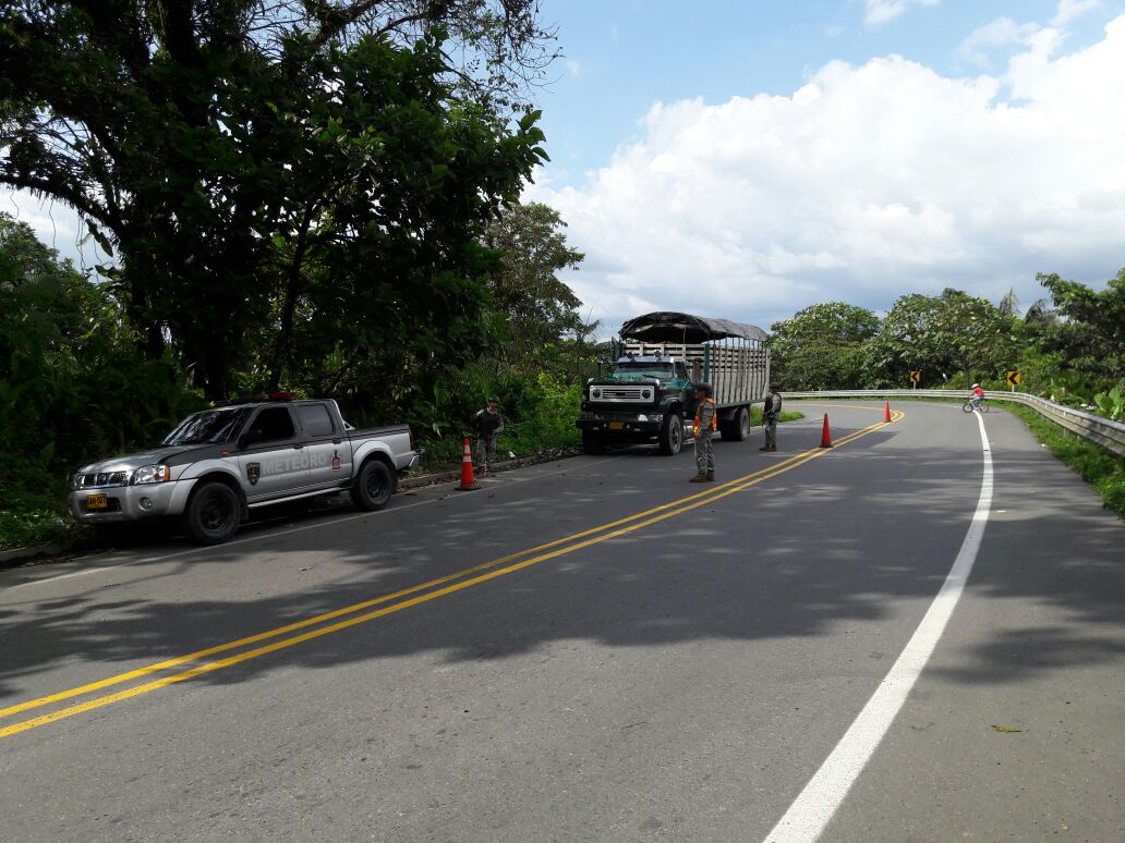 La Armada Nacional incautó madera ilegal en la entrada al Bajo Calima