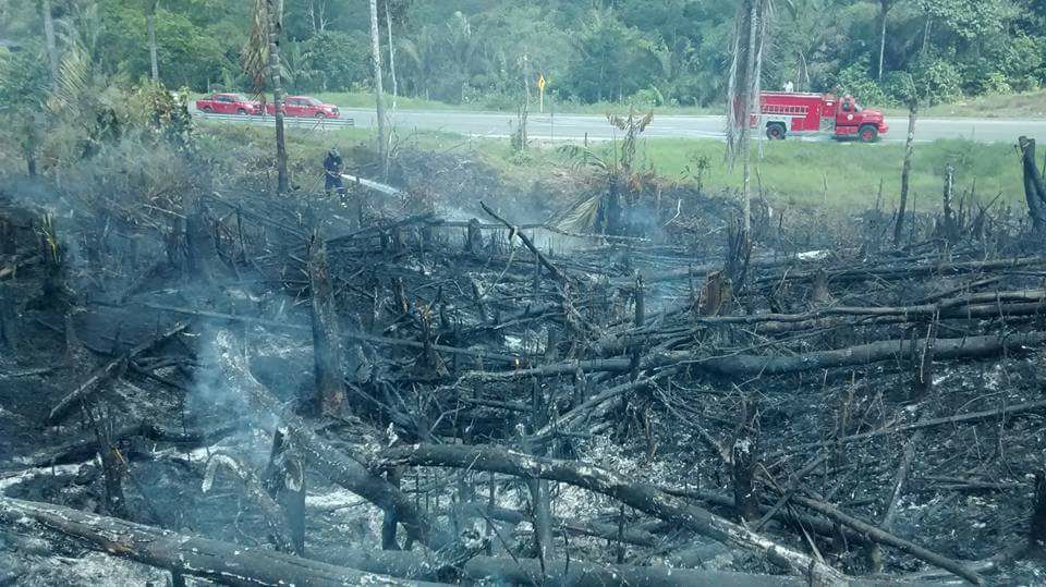 Incendio forestal fue provocado