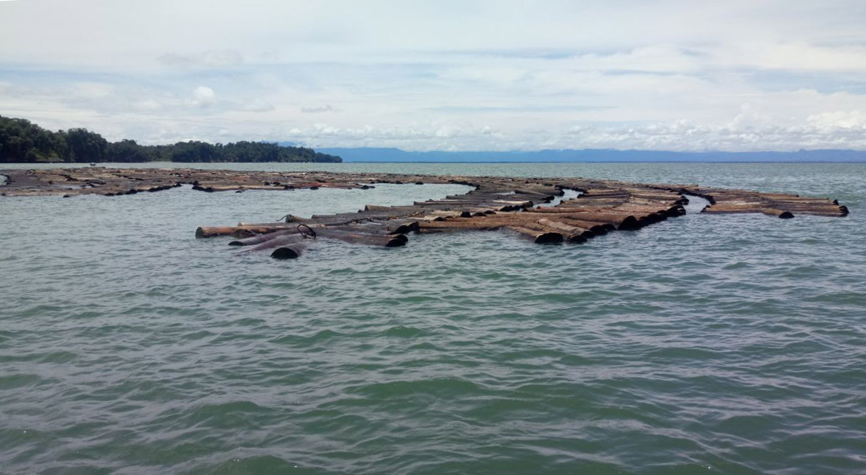 La Armada Nacional incautó madera transportada de manera ilegal en Buenaventura