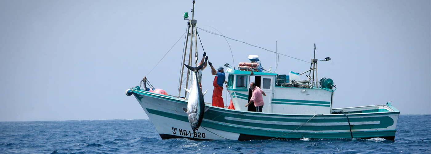Aunap participa de Tercer Simulacro de Pesca Ilegal e Ilícita en el Pacífico