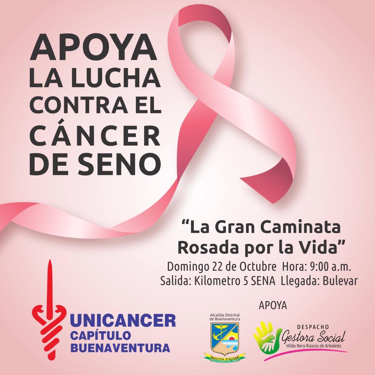 El domingo 22 de octubre se realizará la Gran Caminata Rosada por la Vida