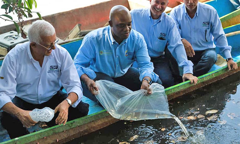 La riqueza ambiental de Colombia está hoy más protegida que nunca