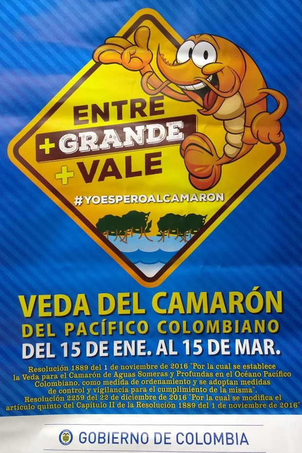 Inició la veda de camarón de aguas profundas y someras en el pacífico colombiano