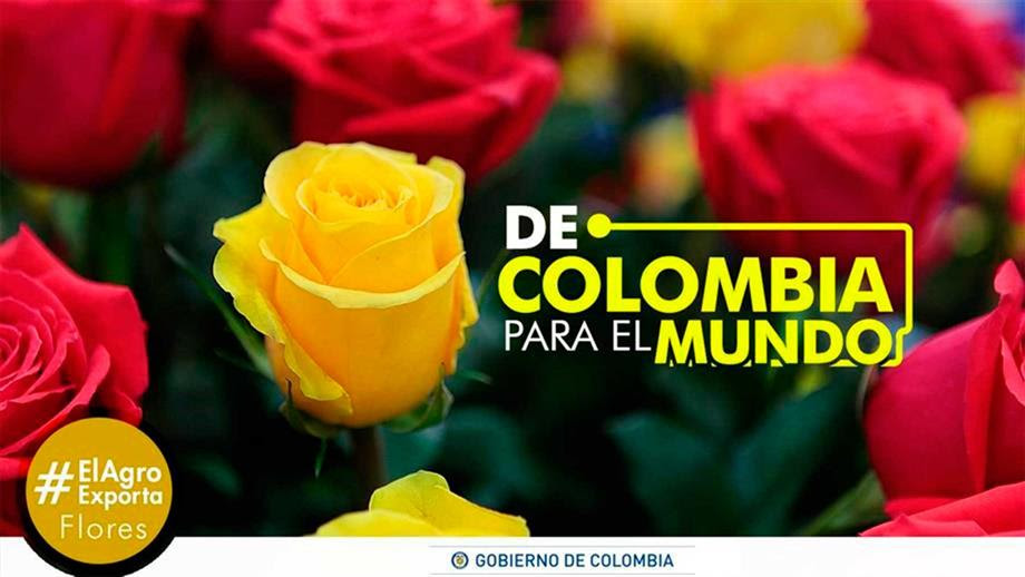 Flores colombianas enamoraron al mundo en la fiesta de San Valentín