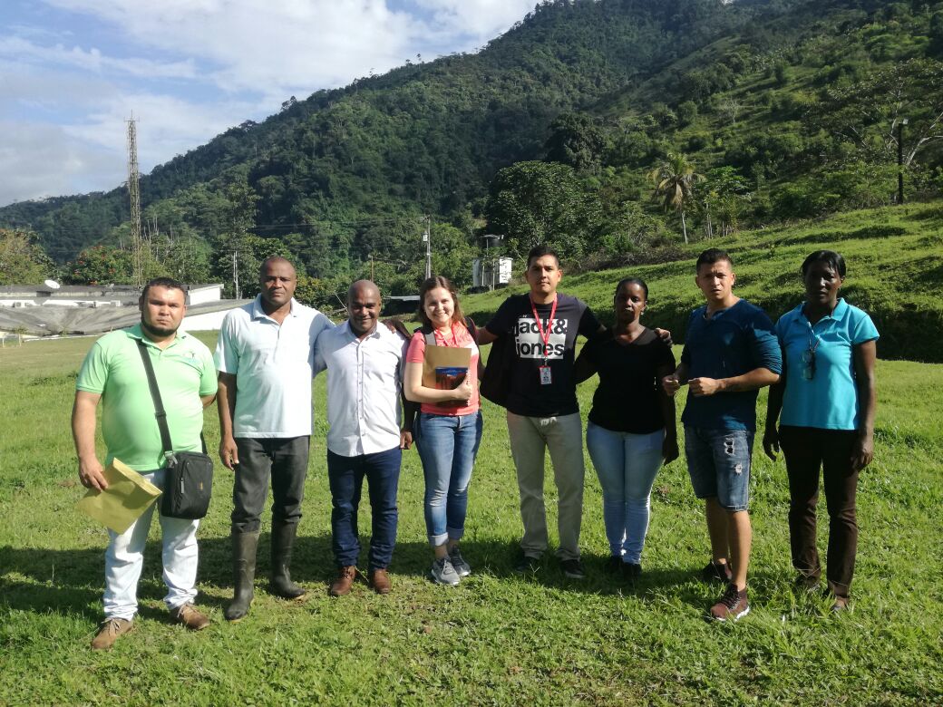 Las canchas de fútbol de la Ciudadela San Antonio, el corregimiento de Cisneros y el barrio San Buenaventura tendrán grama sintética